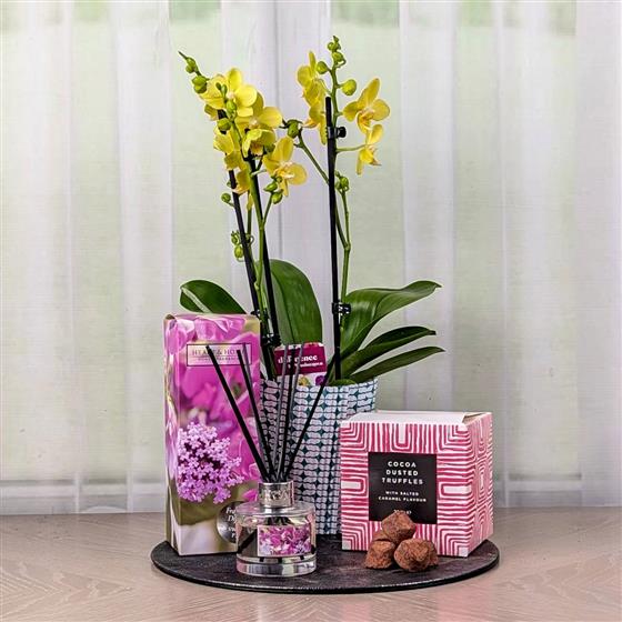 Orchid Diffuser and C