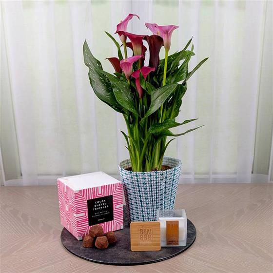 Calla Lily Gift Set