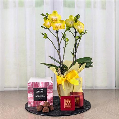 Orchid Chocs and Candle